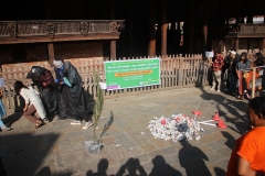 IMG_6434-1700989123