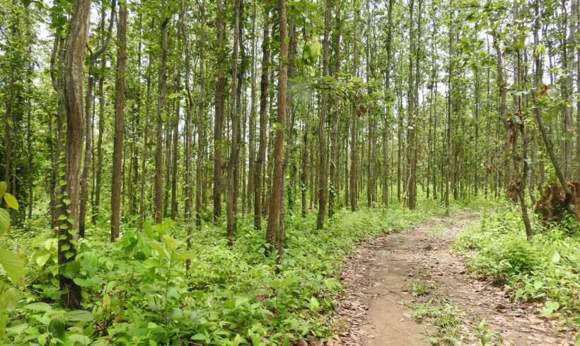 Promoting ecologically sound and socially just forest landscape restoration through co-production of knowledge and local capacity building Promoting ecologically sound and socially just forest landscape restoration through co-production of knowledge and local capacity building