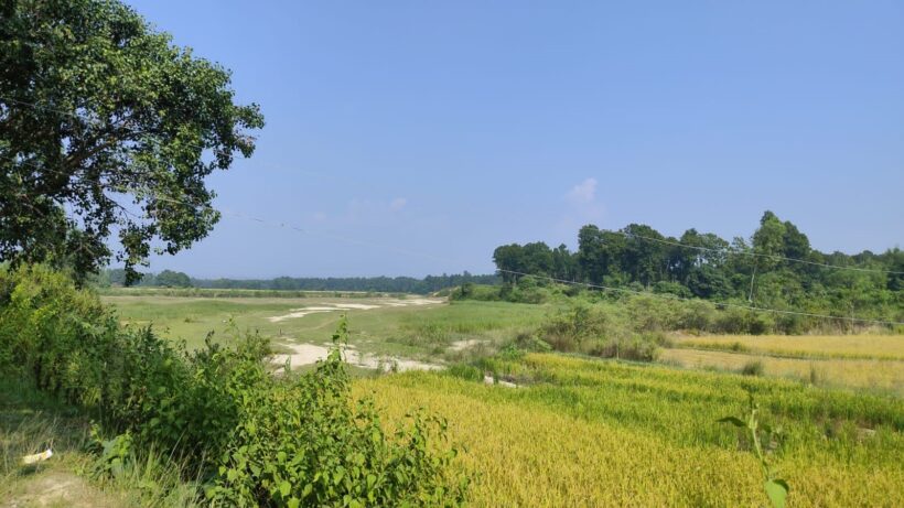 SAMRAKSHYAN: Conservation-friendly livelihoods for women and vulnerable people in Mutani Khola Watershed in Nepal.