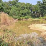 SAMRAKSHYAN: Conservation-friendly livelihoods for women and vulnerable people in Mutani Khola Watershed in Nepal.