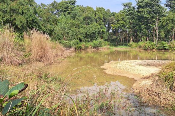SAMRAKSHYAN: Conservation-friendly livelihoods for women and vulnerable people in Mutani Khola Watershed in Nepal.