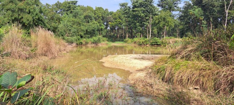 SAMRAKSHYAN: Conservation-friendly livelihoods for women and vulnerable people in Mutani Khola Watershed in Nepal.