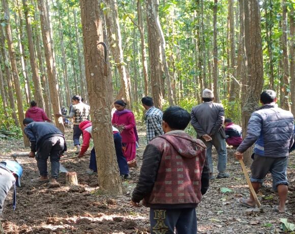 Enhancing Community Participation in Natural Resource Management