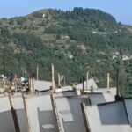 Scaling Conservation of Himalayan Plants and Fungi through Sustainable Trade