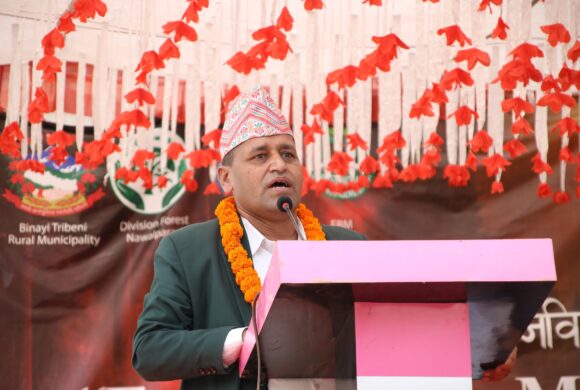 वन बायोमास व्यवस्थापन र कृषि दिगोपनमा आधारित पहिलो राष्ट्रिय सम्मेलन वन बायोमास व्यवस्थापन र कृषि दिगोपनमा आधारित पहिलो राष्ट्रिय सम्मेलन